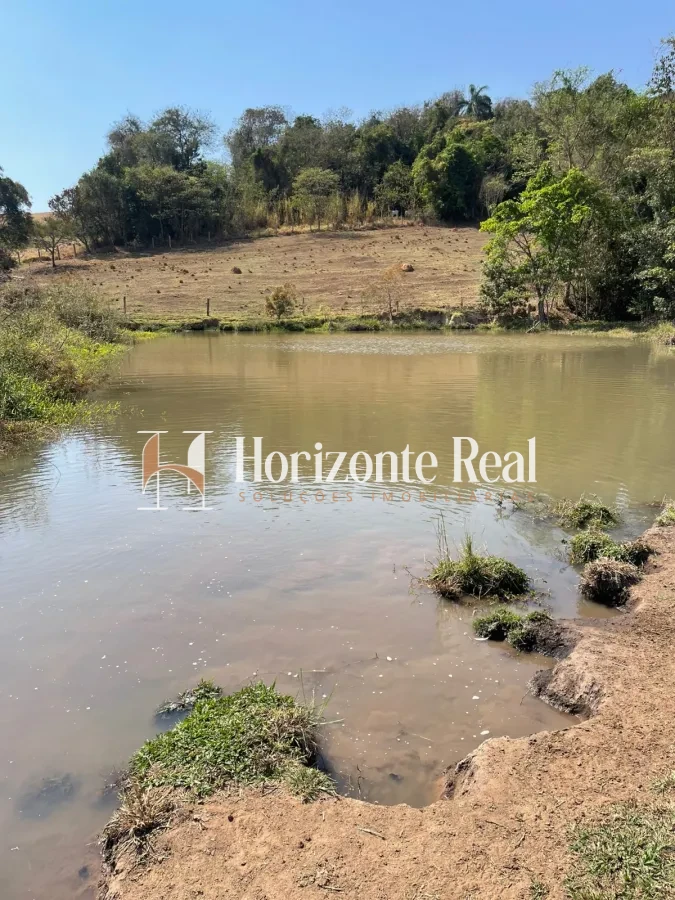 Imagem de FAZENDA Á VENDA - 66 ALQUEIRES