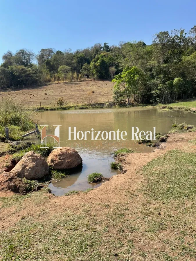 Imagem de FAZENDA Á VENDA - 66 ALQUEIRES