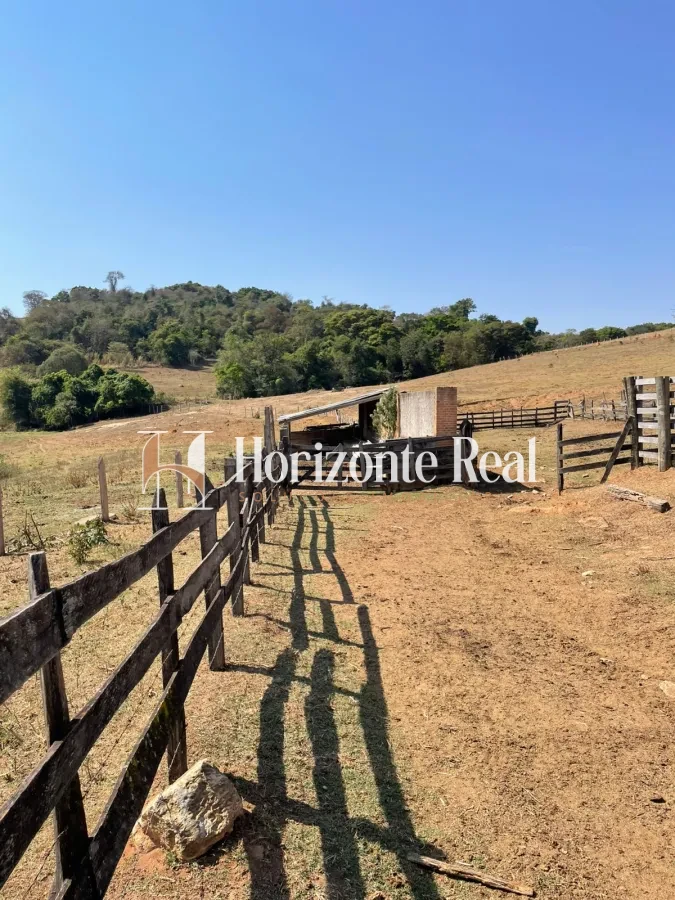 Imagem de FAZENDA Á VENDA - 66 ALQUEIRES