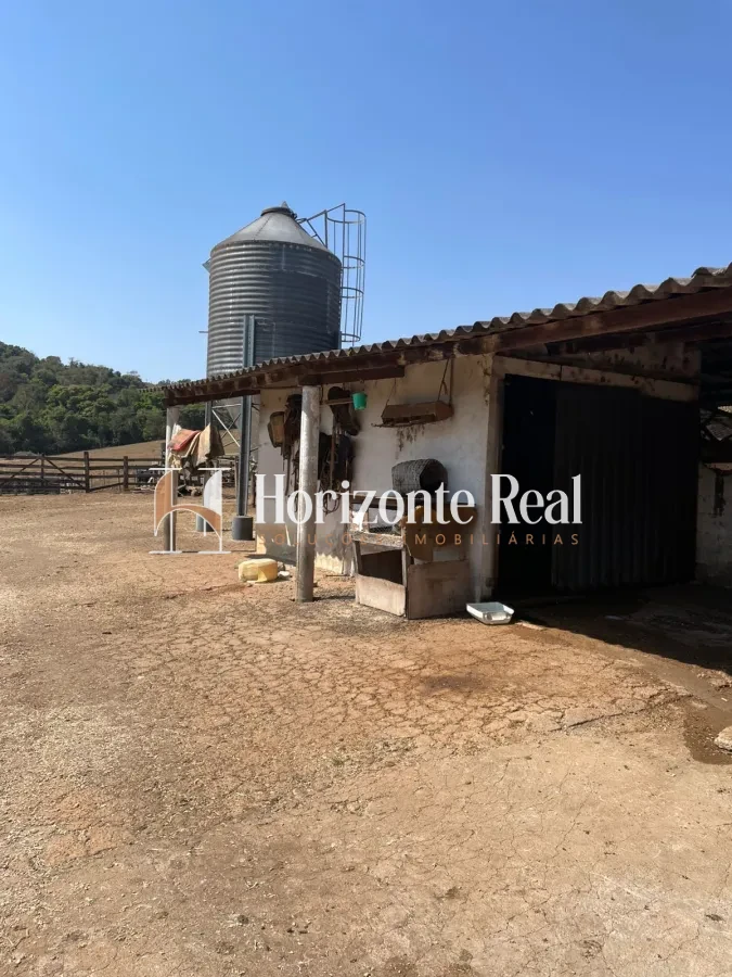 Imagem de FAZENDA Á VENDA - 66 ALQUEIRES