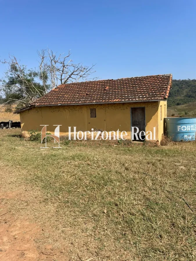 Imagem de FAZENDA Á VENDA - 66 ALQUEIRES