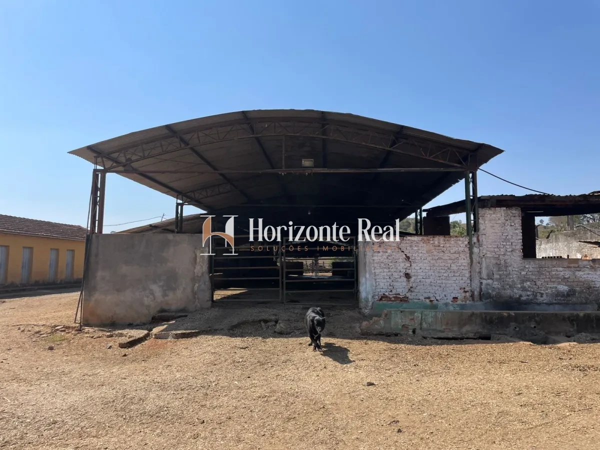 Imagem de FAZENDA Á VENDA - 66 ALQUEIRES
