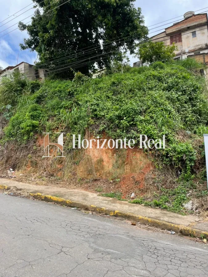 Imagem de TERRENO À VENDA – ÓTIMA LOCALIZAÇÃO EM MACHADO