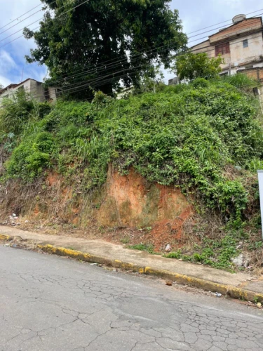 Imagem de TERRENO À VENDA – ÓTIMA LOCALIZAÇÃO EM MACHADO