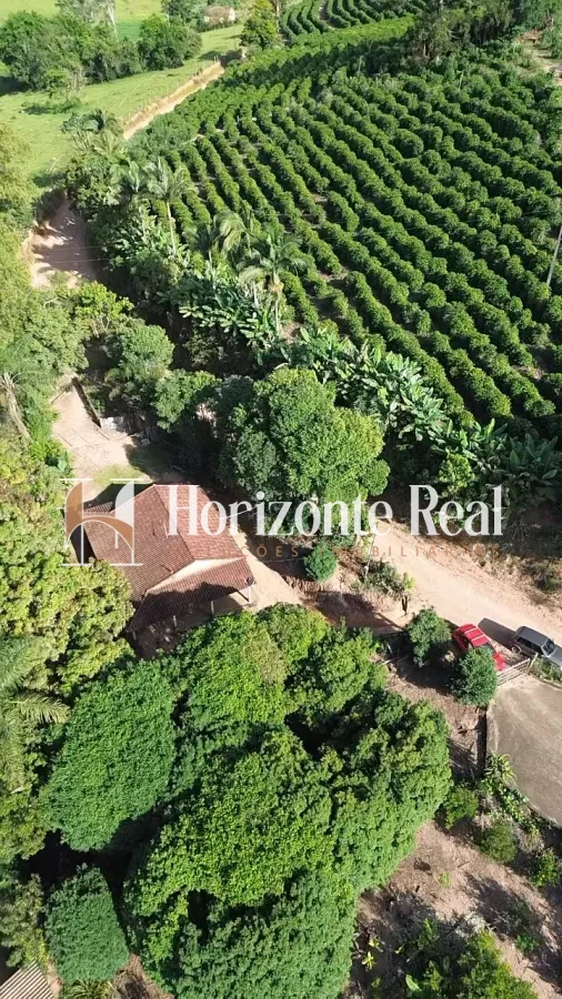 Imagem de VENDE-SE CHÁCARA PRODUTIVA | EXCELENTE OPORTUNIDADE !