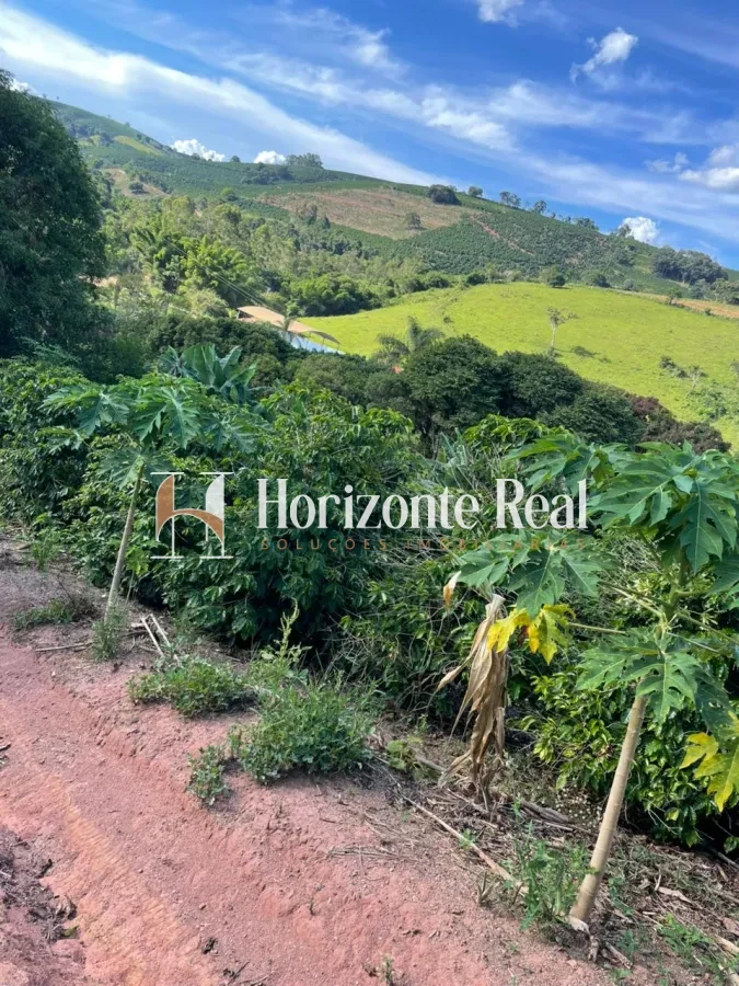 Imagem de VENDE-SE CHÁCARA PRODUTIVA | EXCELENTE OPORTUNIDADE !