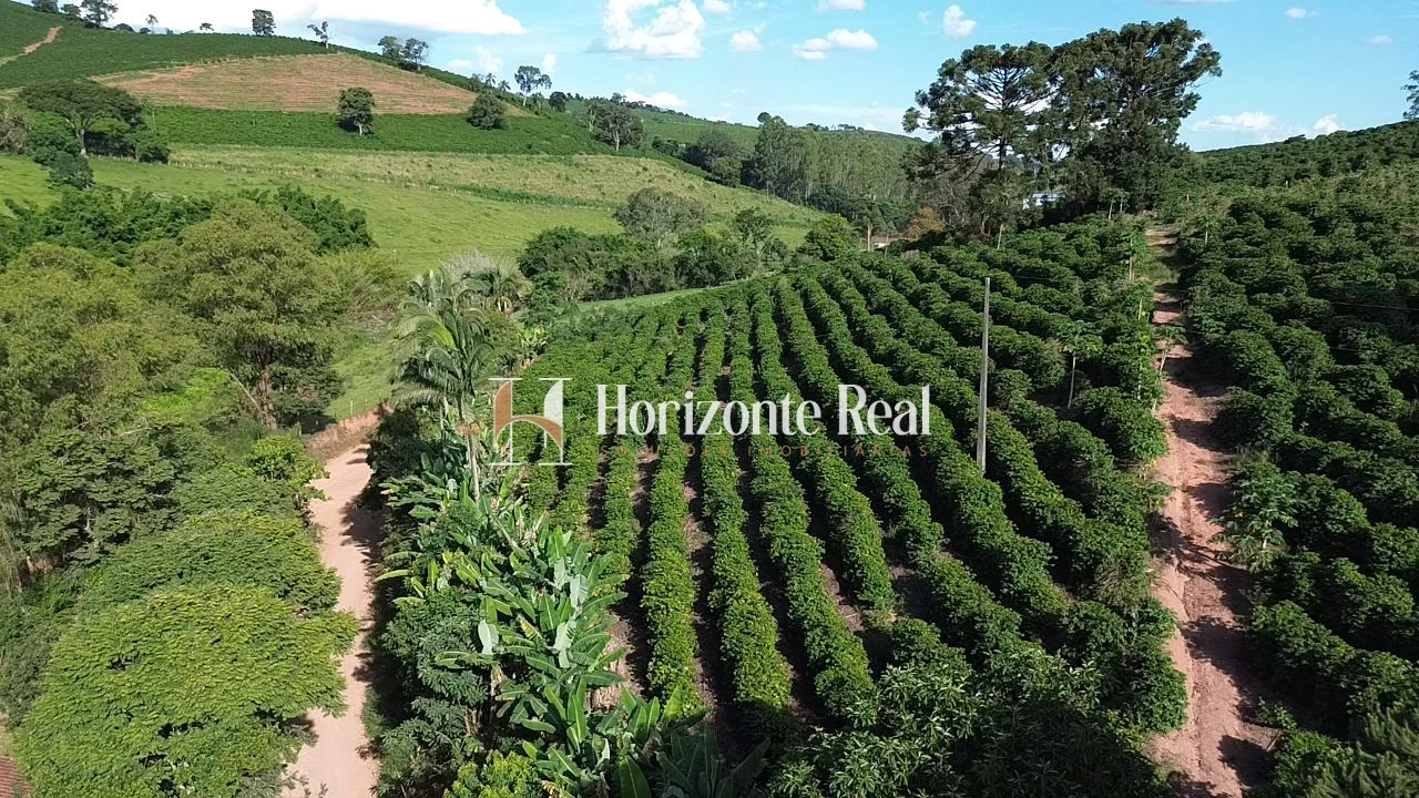 Imagem de VENDE-SE CHÁCARA PRODUTIVA | EXCELENTE OPORTUNIDADE !