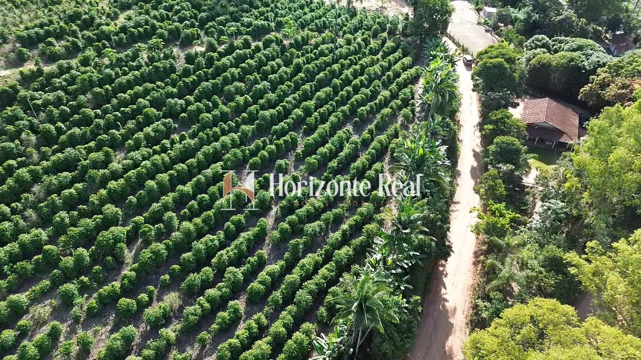 Imagem de VENDE-SE CHÁCARA PRODUTIVA | EXCELENTE OPORTUNIDADE !