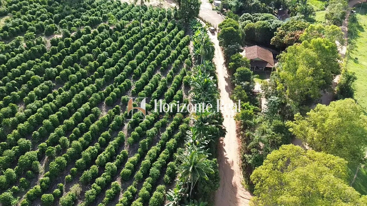 Imagem de VENDE-SE CHÁCARA PRODUTIVA | EXCELENTE OPORTUNIDADE !