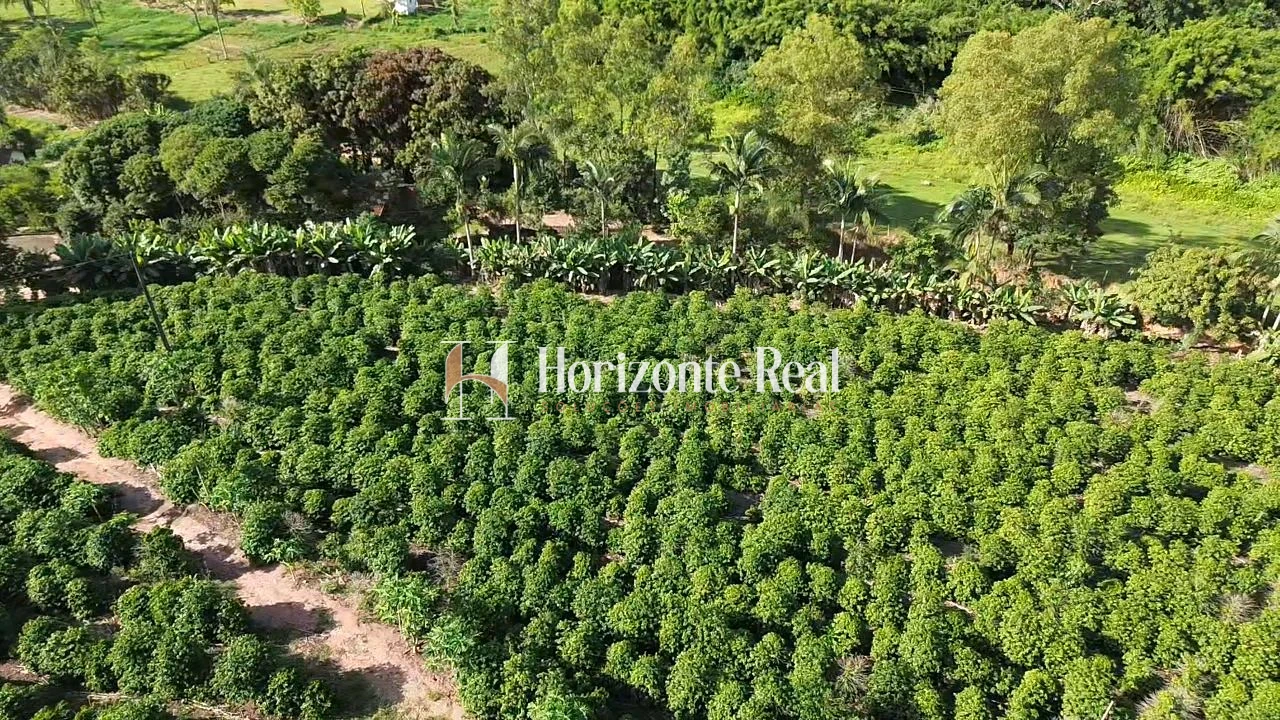 Imagem de VENDE-SE CHÁCARA PRODUTIVA | EXCELENTE OPORTUNIDADE !