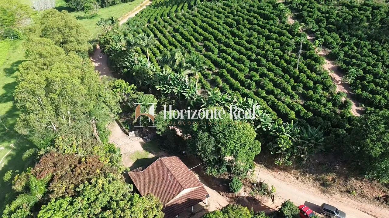 Imagem de VENDE-SE CHÁCARA PRODUTIVA | EXCELENTE OPORTUNIDADE !