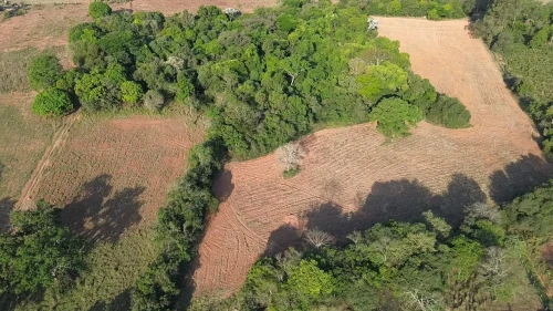 Imagem de VENDE-SE SÍTIO – 4,28 HECTARES
