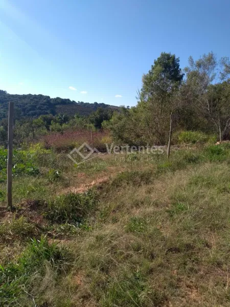 Imagem de Lote em Cesar de pina  - Tiradentes