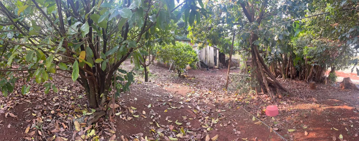 Imagem de CHÁCARA À VENDA EM LARANJEIRAS DO SUL - PR