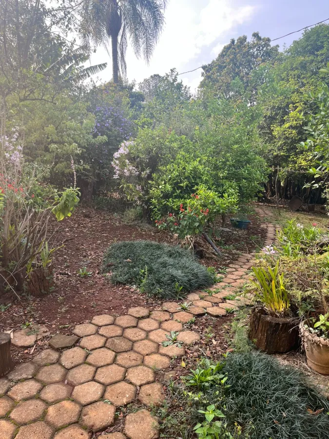 Imagem de CHÁCARA À VENDA EM LARANJEIRAS DO SUL - PR