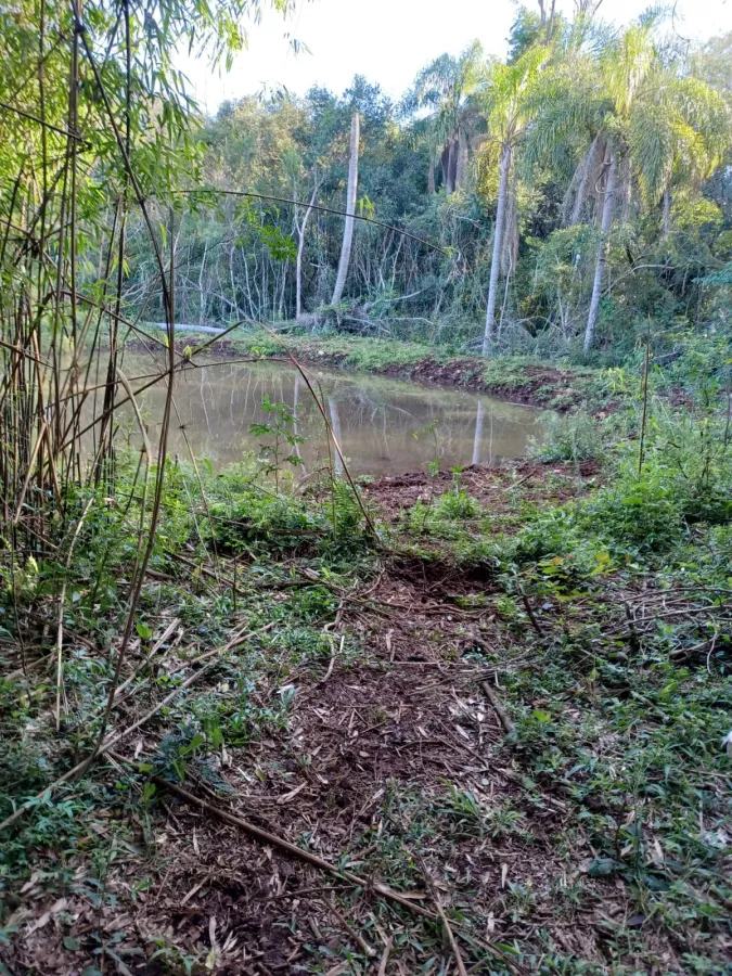Imagem de CHÁCARA À VENDA EM CANTAGALO - PR