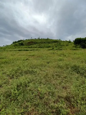 Imagem de CHÁCARA À VENDA EM CANTAGALO - PR
