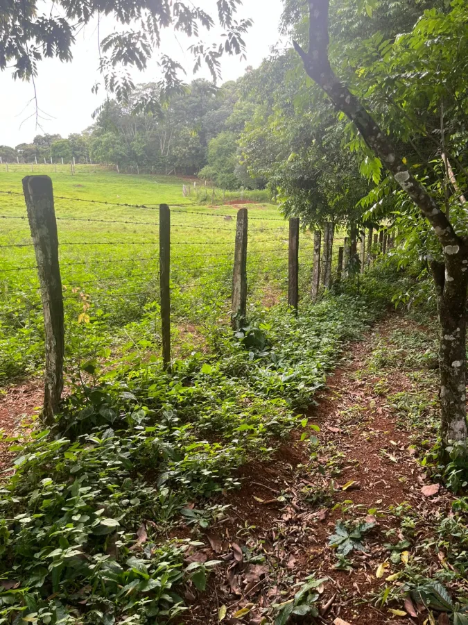 Imagem de CHÁCARA À VENDA EM LARANJEIRAS DO SUL - PR