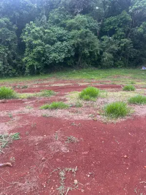 Imagem de LOTE A VENDA EM LARANJEIRAS DO SUL - PR