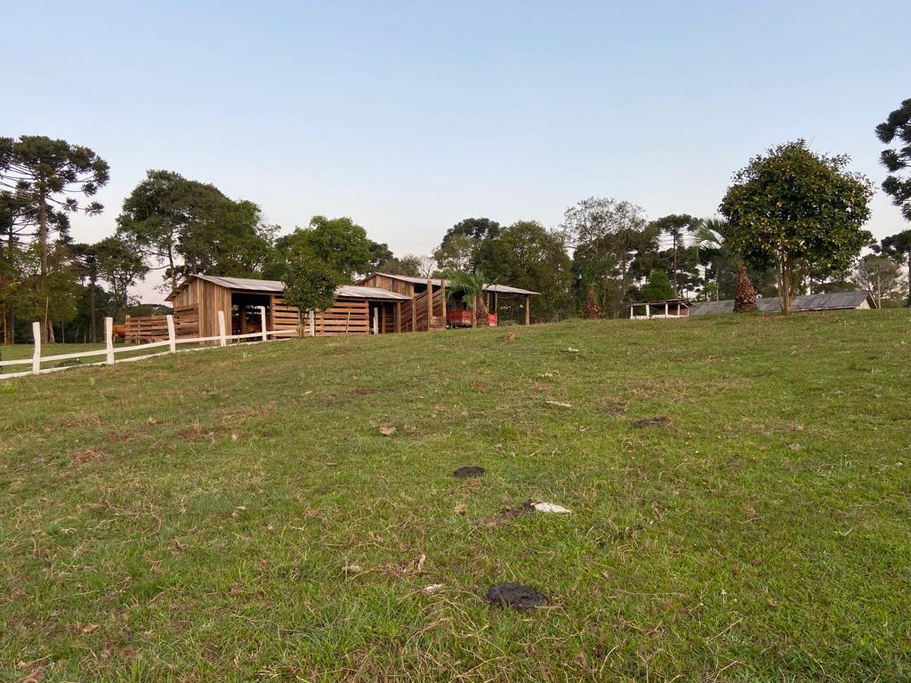 Imagem de CHÁCARA À VENDA EM GUARAPUAVA - PR