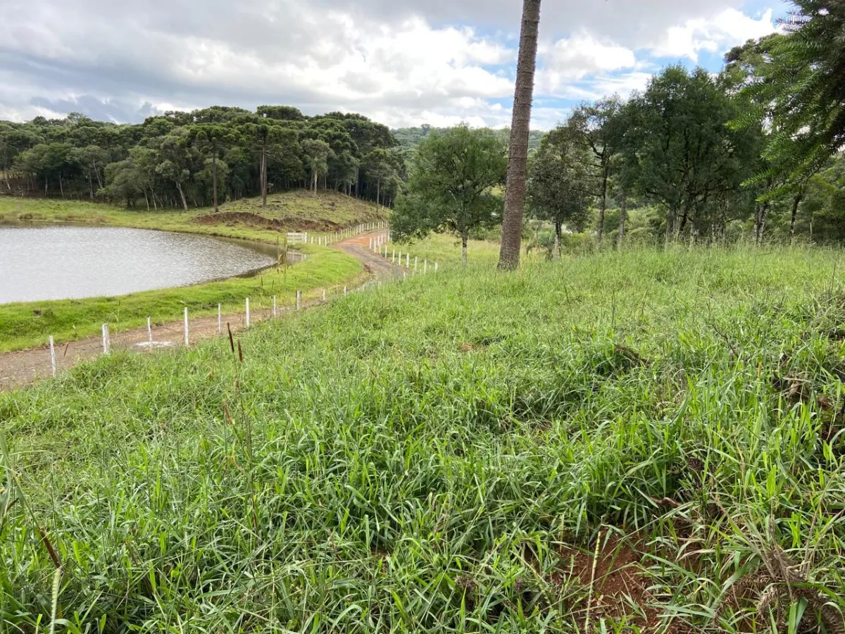 Imagem de CHÁCARA À VENDA EM GUARAPUAVA - PR