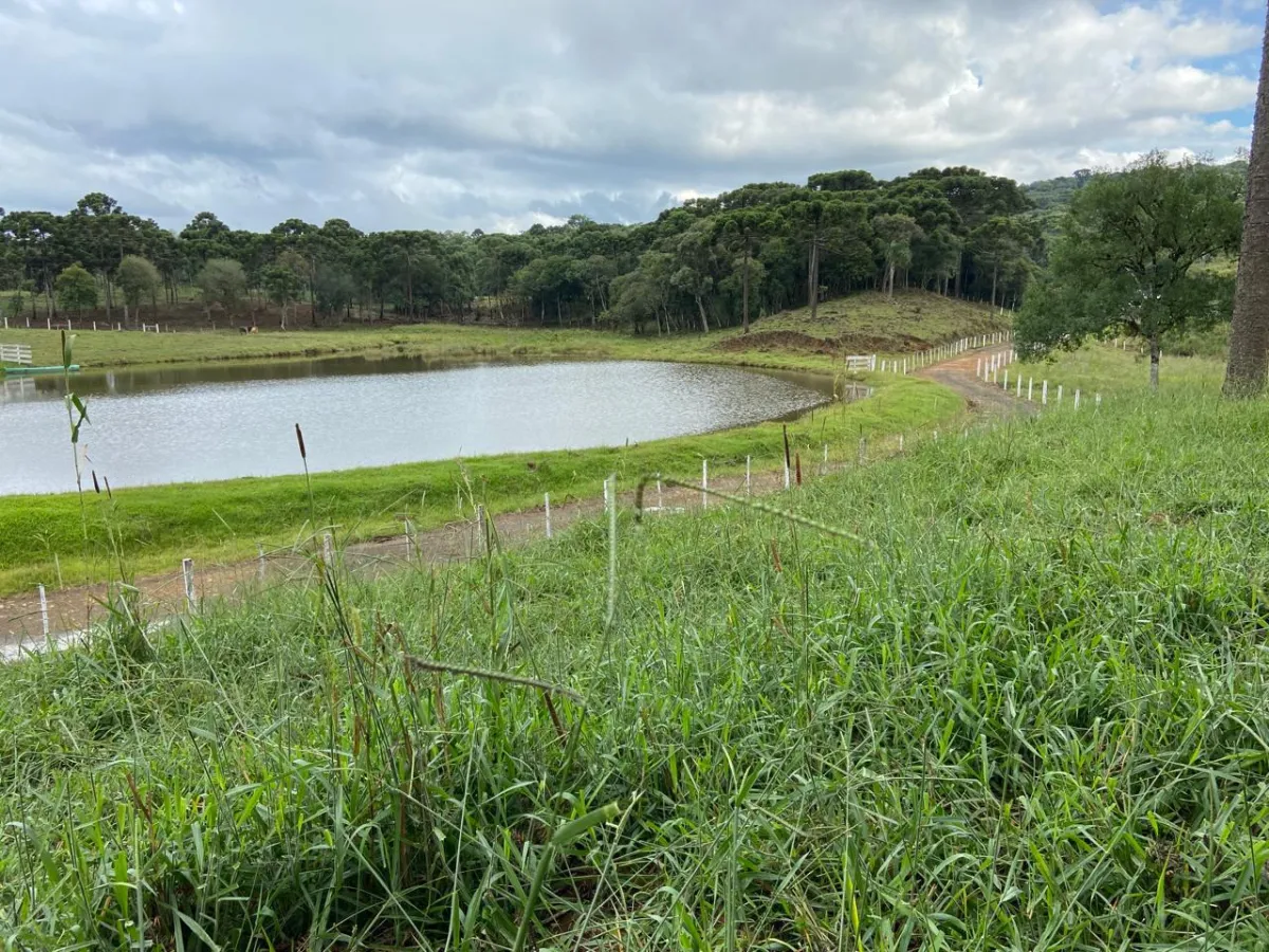 Imagem de CHÁCARA À VENDA EM GUARAPUAVA - PR