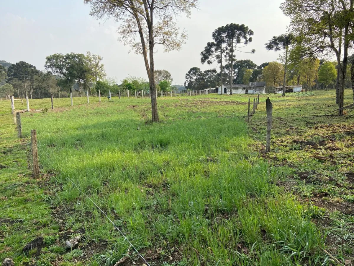Imagem de CHÁCARA À VENDA EM GUARAPUAVA - PR