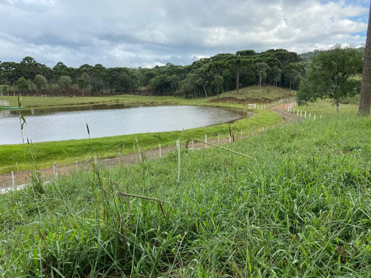 Imagem de CHÁCARA À VENDA EM GUARAPUAVA - PR