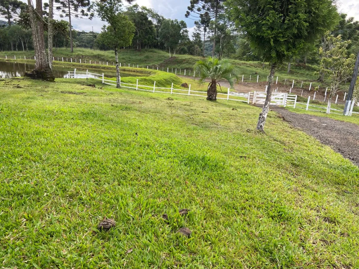 Imagem de CHÁCARA À VENDA EM GUARAPUAVA - PR