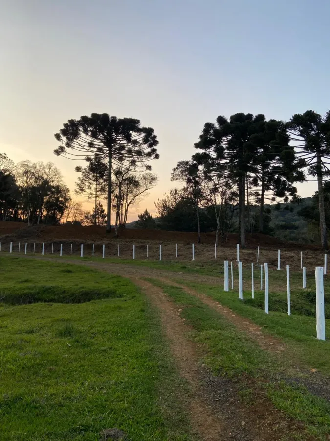 Imagem de CHÁCARA À VENDA EM GUARAPUAVA - PR