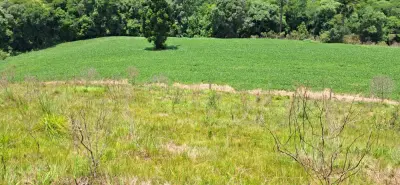 Imagem de CHÁCARA À VENDA EM CORONEL VIVIVDA - PR