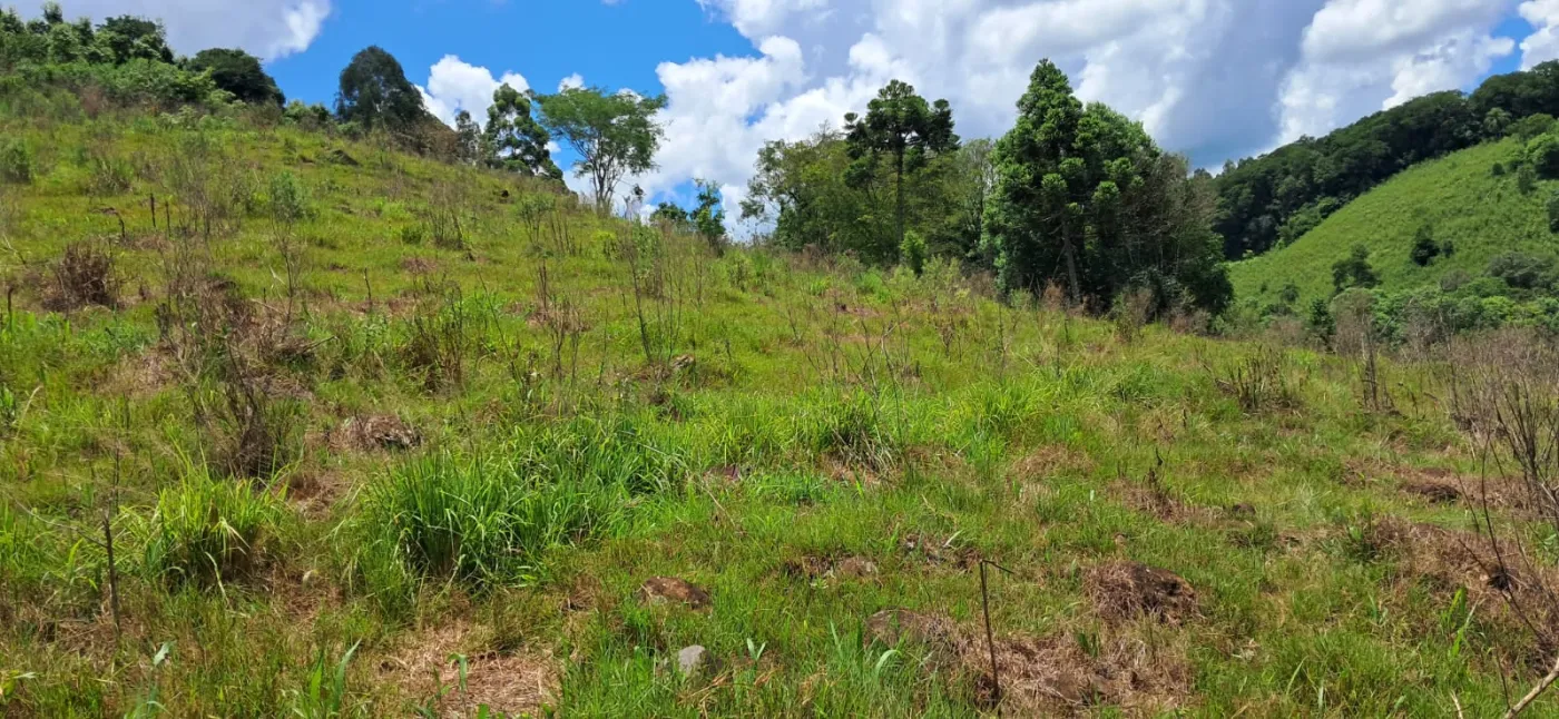 Imagem de CHÁCARA À VENDA EM CORONEL VIVIVDA - PR