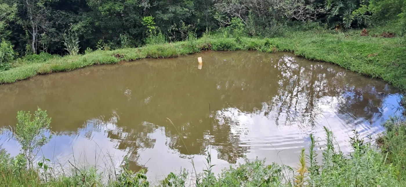 Imagem de CHÁCARA À VENDA EM CORONEL VIVIVDA - PR