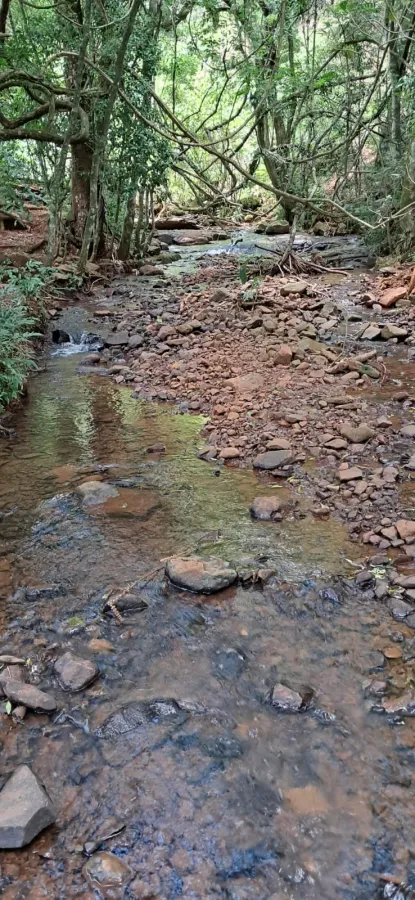 Imagem de CHÁCARA À VENDA EM CORONEL VIVIVDA - PR