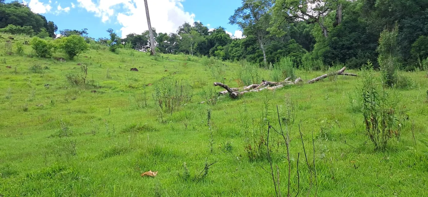Imagem de CHÁCARA À VENDA EM CORONEL VIVIVDA - PR