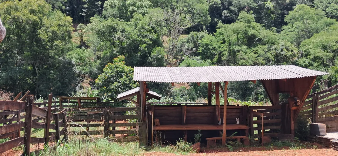 Imagem de CHÁCARA À VENDA EM CORONEL VIVIVDA - PR