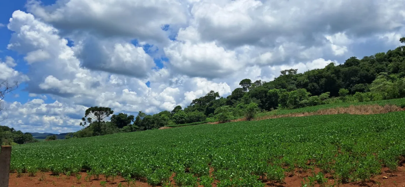 Imagem de CHÁCARA À VENDA EM CORONEL VIVIVDA - PR