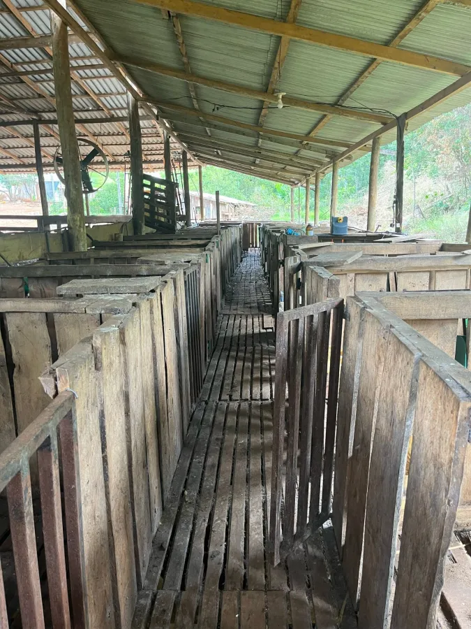 Imagem de CHÁCARA À VENDA EM NOVA LARANJEIRAS - PR