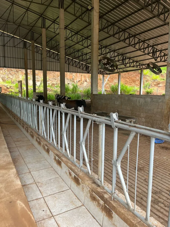 Imagem de CHÁCARA À VENDA EM NOVA LARANJEIRAS - PR