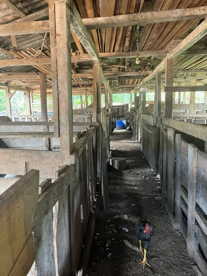 Imagem de CHÁCARA À VENDA EM NOVA LARANJEIRAS - PR