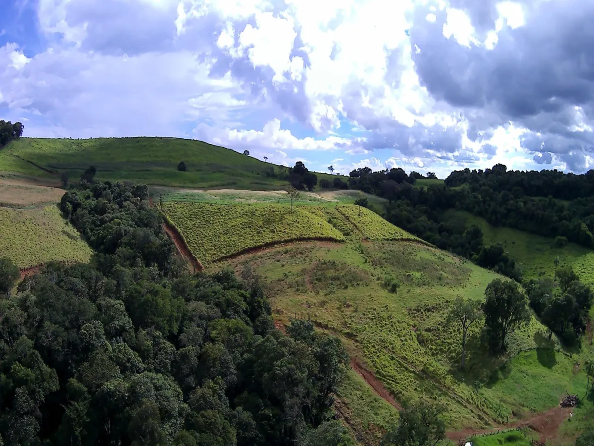 Imagem de CHÁCARA À VENDA EM NOVA LARANJEIRAS - PR