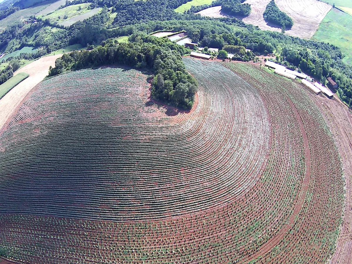 Imagem de CHÁCARA À VENDA EM PORTO BARREIRO - PR