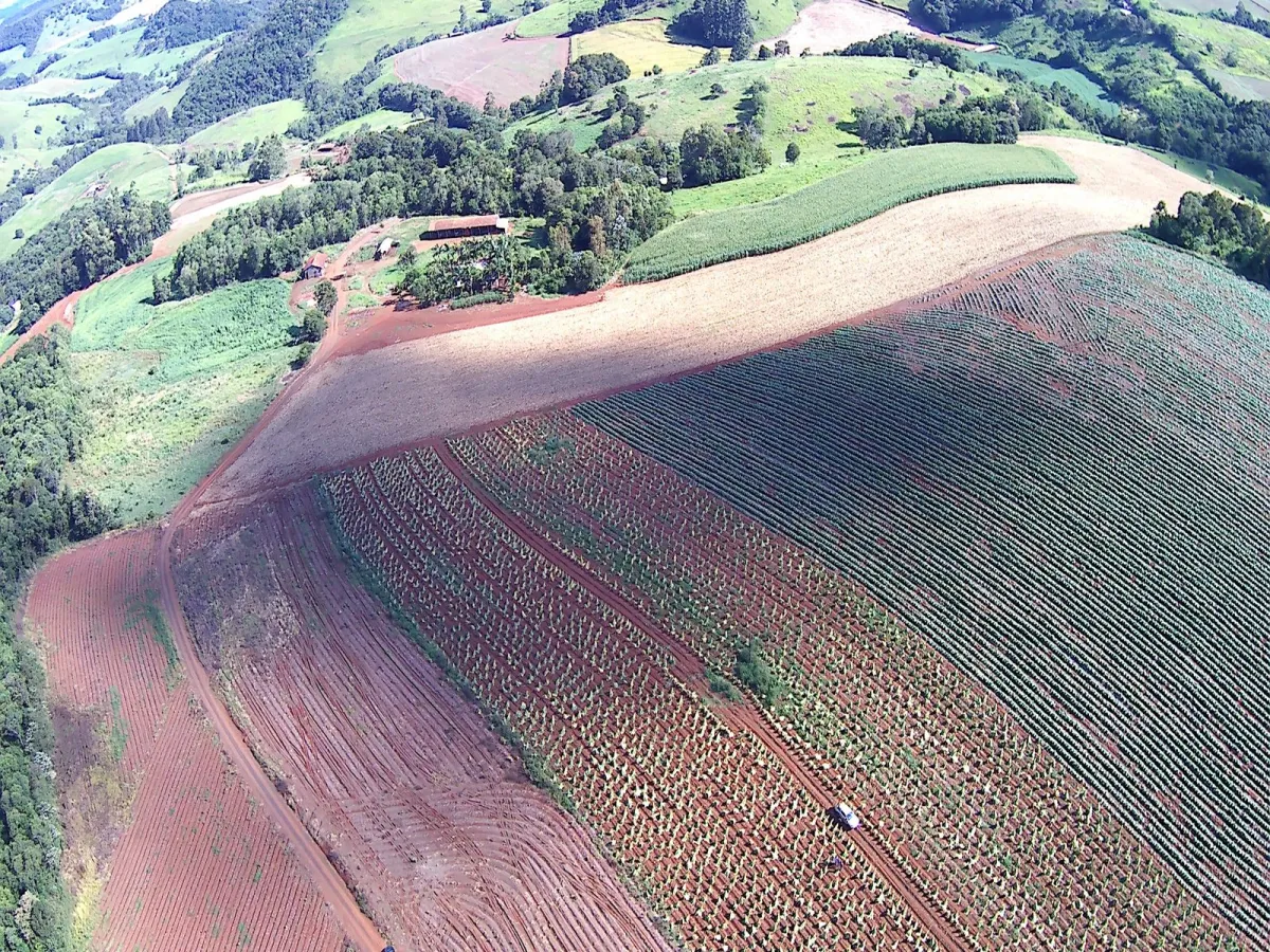 Imagem de CHÁCARA À VENDA EM PORTO BARREIRO - PR