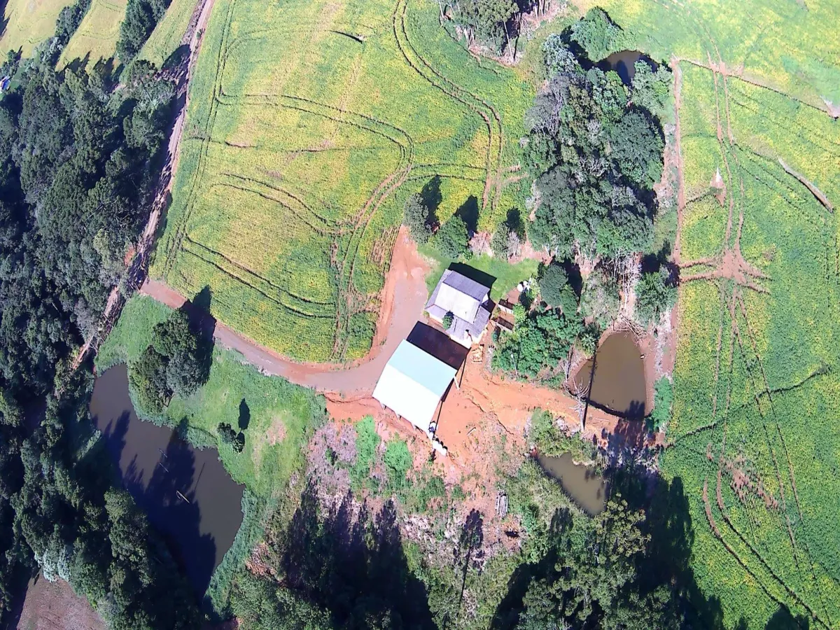 Imagem de CHÁCARA À VENDA EM NOVA LARANJEIRAS - ´PR
