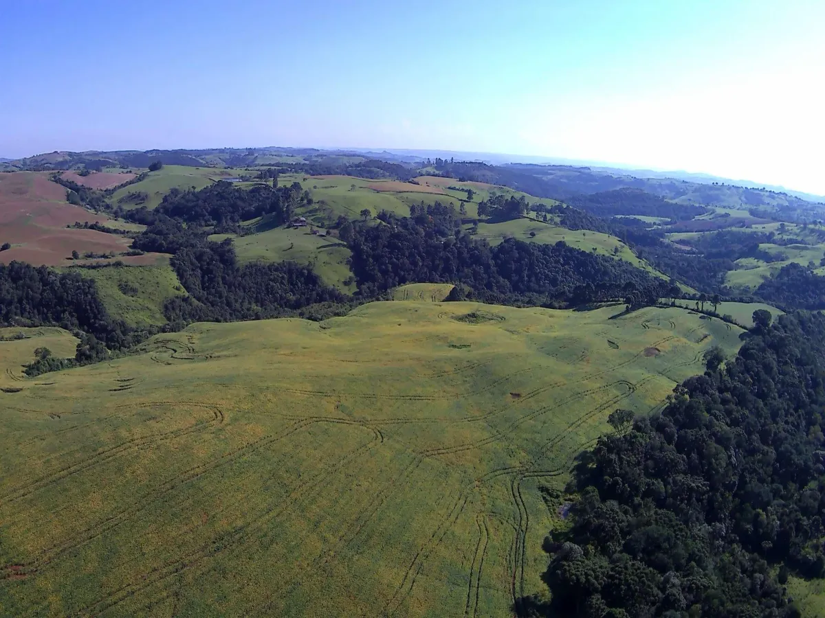 Imagem de CHÁCARA À VENDA EM NOVA LARANJEIRAS - ´PR