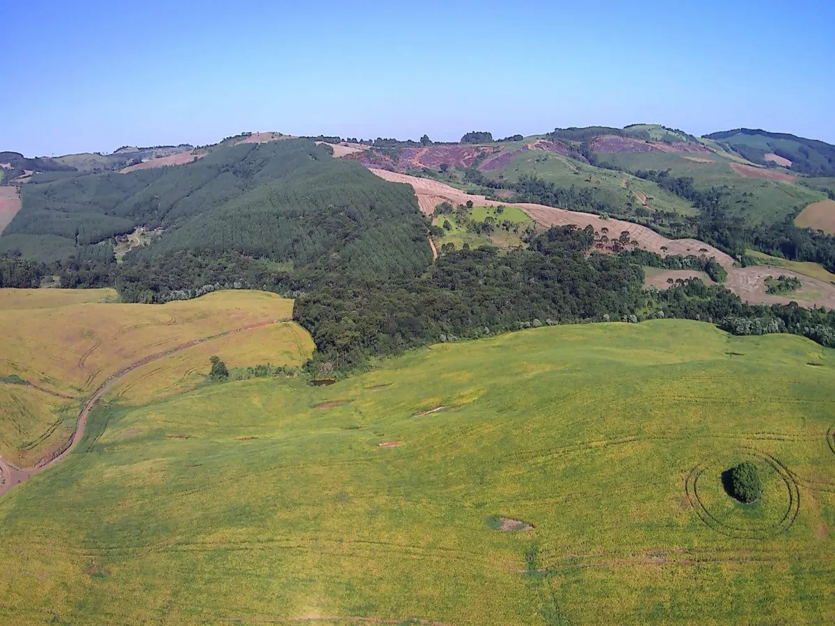 Imagem de CHÁCARA À VENDA EM NOVA LARANJEIRAS - ´PR