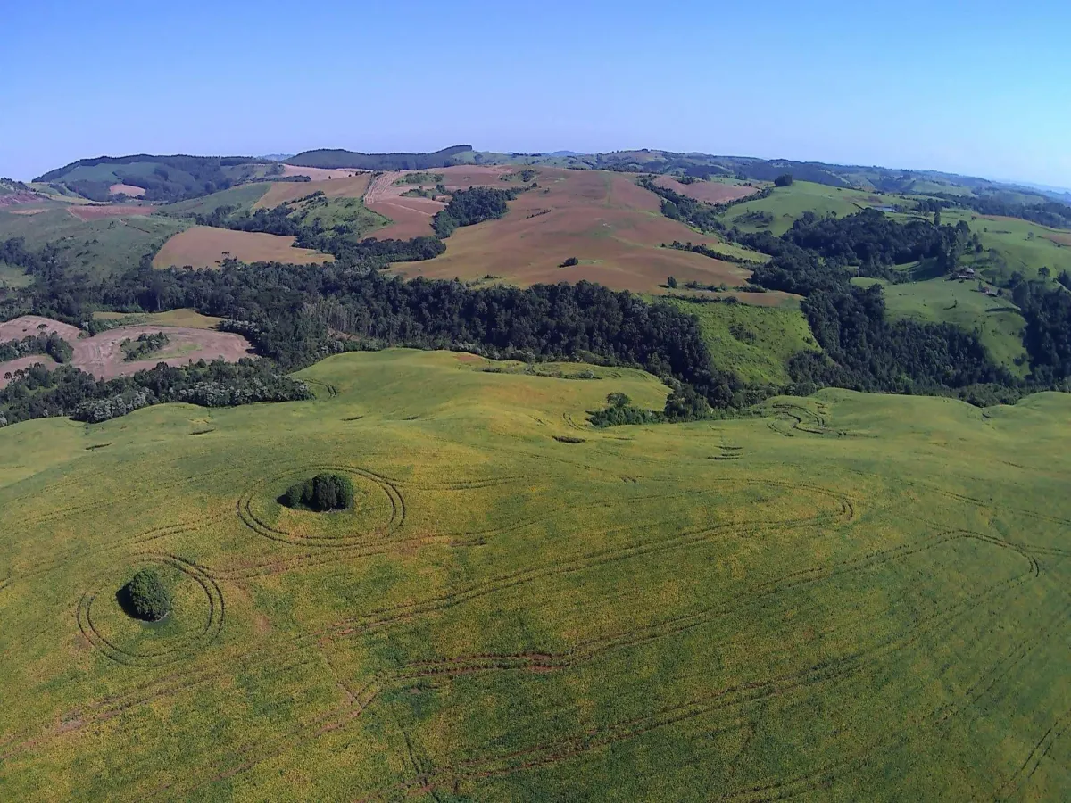 Imagem de CHÁCARA À VENDA EM NOVA LARANJEIRAS - ´PR