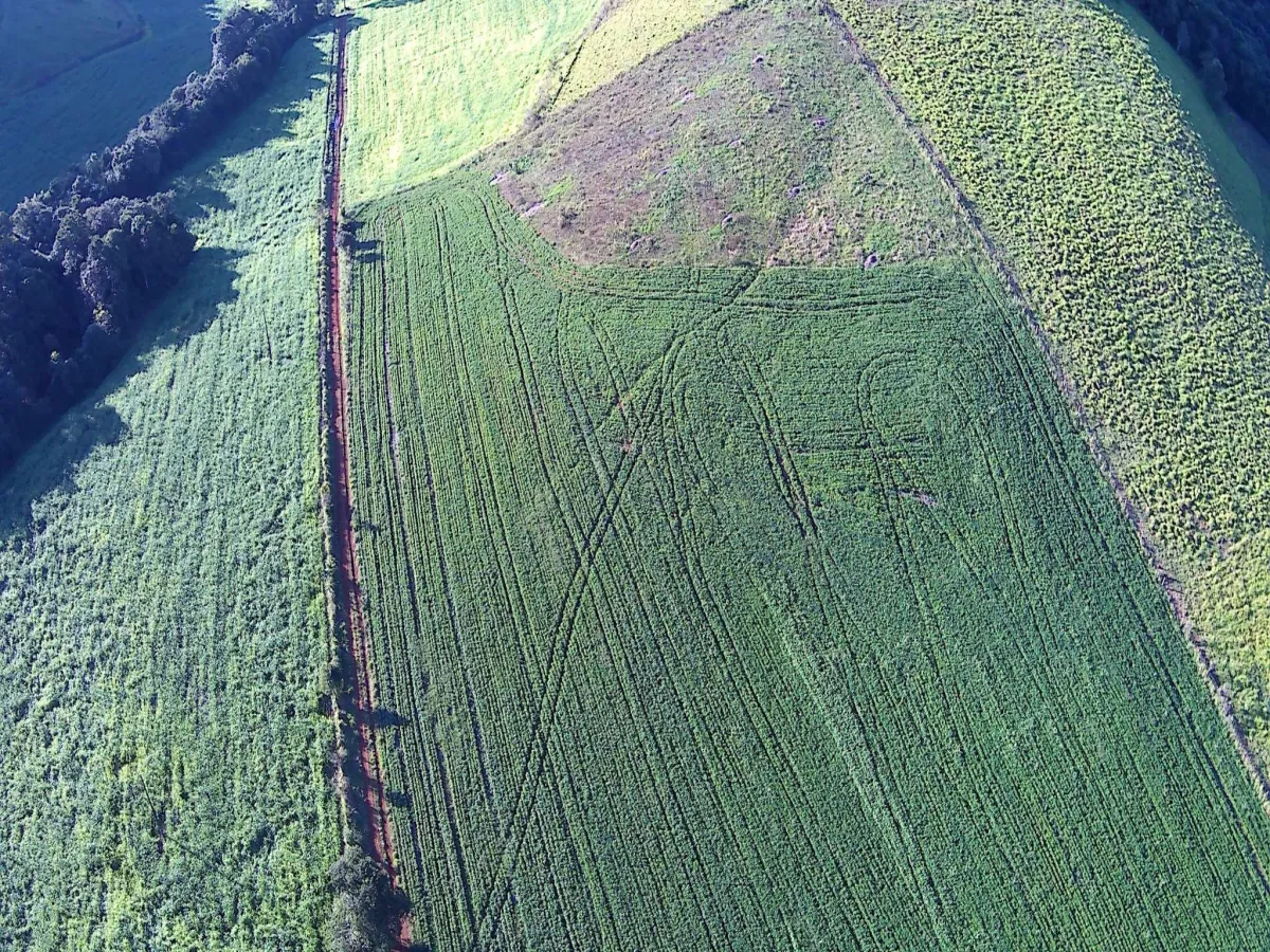 Imagem de ÁREA RURAL A VENDA EM CORONEL VIVIDA - PR
