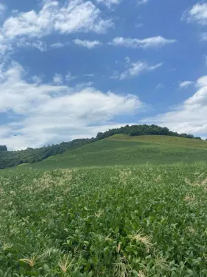 Imagem de ÁREA RURAL A VENDA EM CORONEL VIVIDA - PR