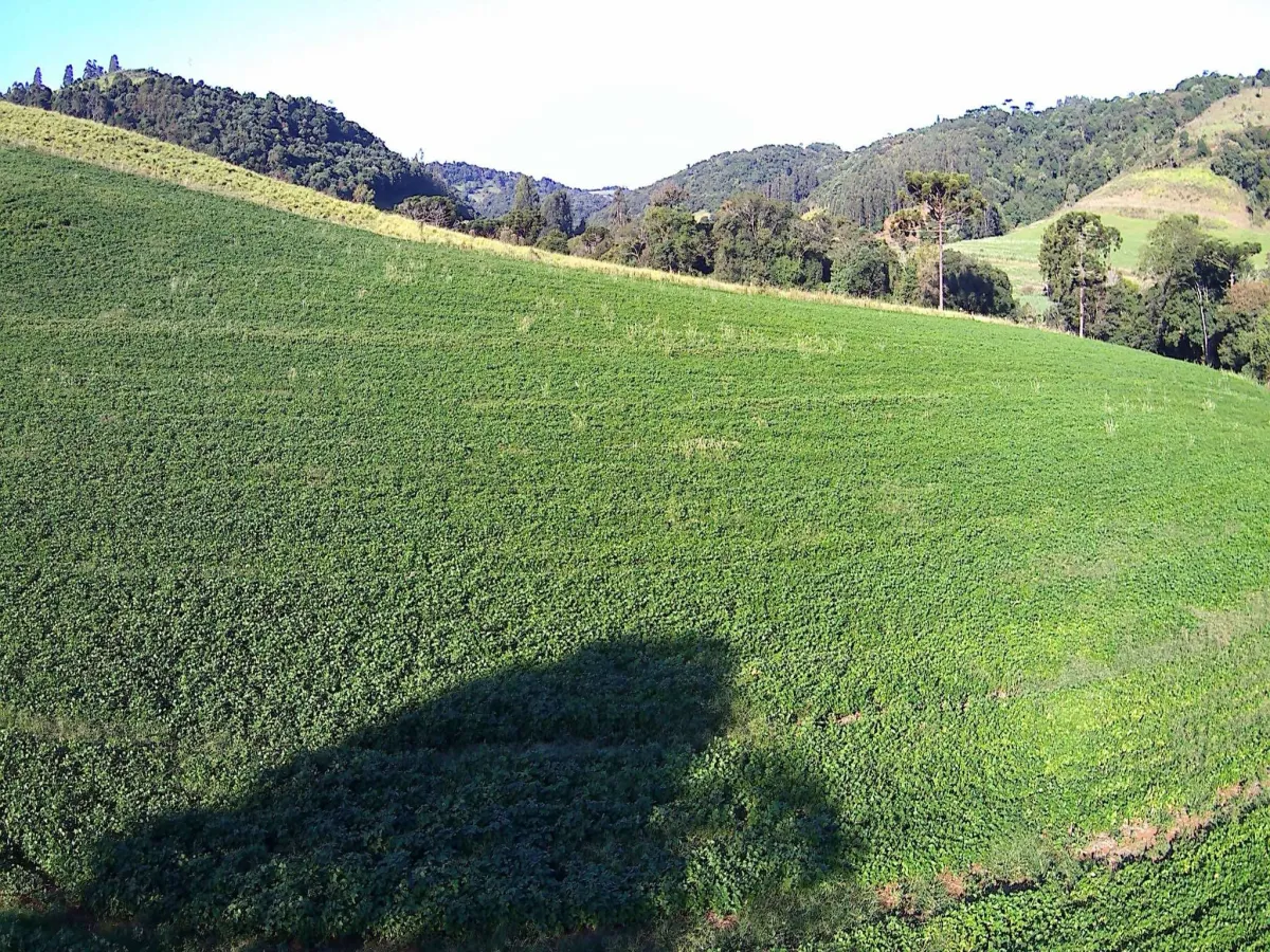 Imagem de ÁREA RURAL A VENDA EM CORONEL VIVIDA - PR